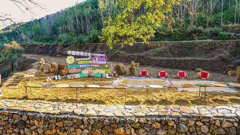 爽翻！成都到贵州5天4夜自由行攻略（保姆级，不踩雷）-第1张图片-四川省中国青年旅行社